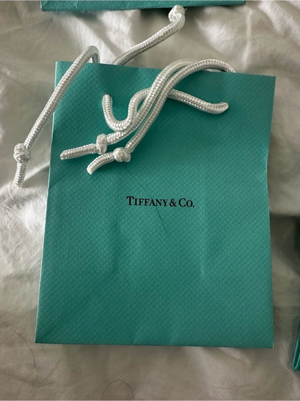 Tiffany & Co. Robin's Egg Blue Gift Bags with White Handles (Set of 4) - Picture 5 of 5